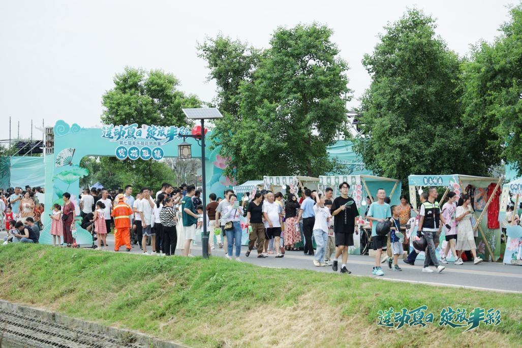 蓮動(dòng)夏日，綻放豐彩 第七屆豐樂(lè)荷花節(jié)盛大啟幕