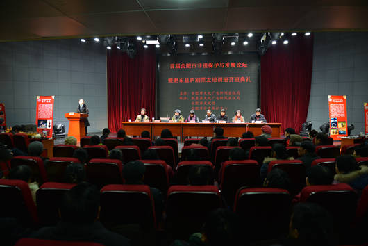 合肥市舉辦首屆非遺保護與發展論壇