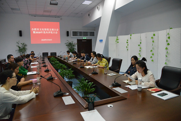 合肥市文化館黨支部召開支部黨員大會暨黨內評優會議