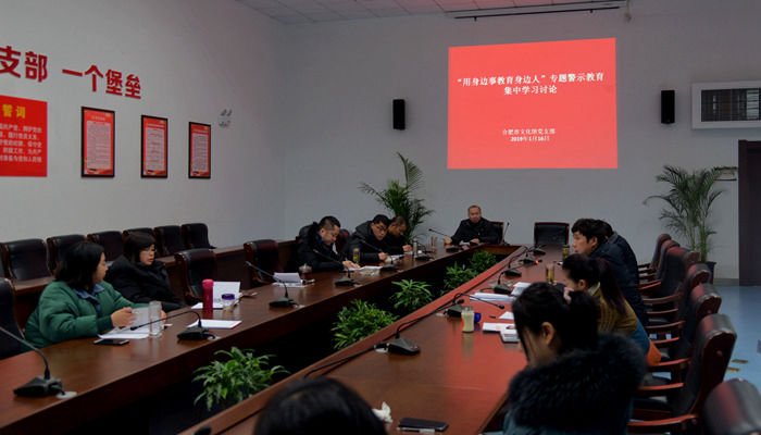 合肥市文化館黨支部開展“用身邊事教育身邊人”專題警示教育活動