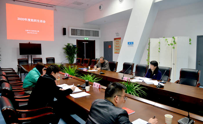 合肥市文化館黨支部召開2020年度組織生活會暨民主評議黨員大會