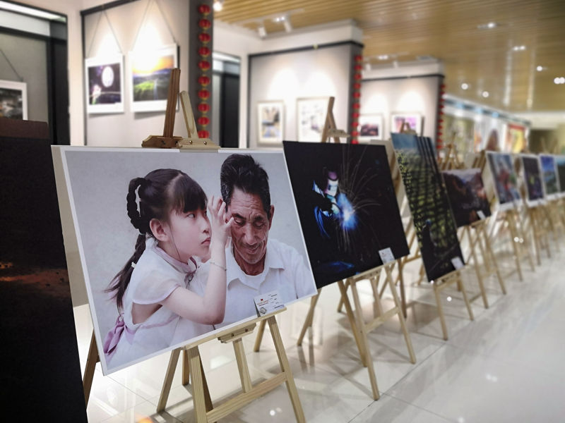 關于合肥市美術書法攝影展攝影作品專場開展的通知