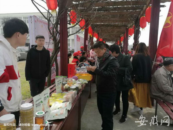 肥東縣第三屆曹植文化旅游節開幕