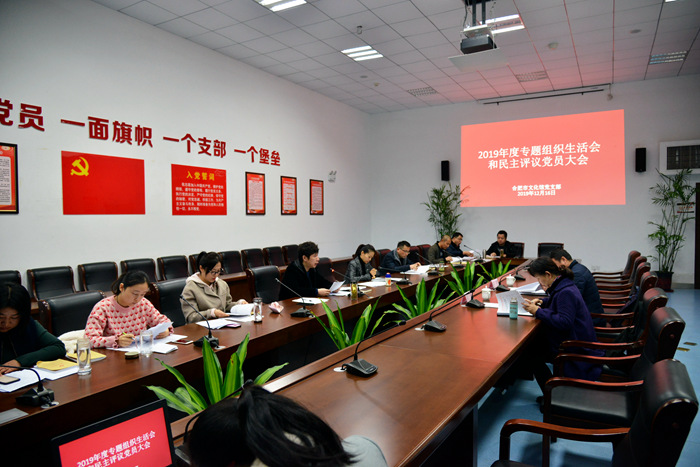 陳江麗出席指導合肥市文化黨支部2019年度專題組織生活會